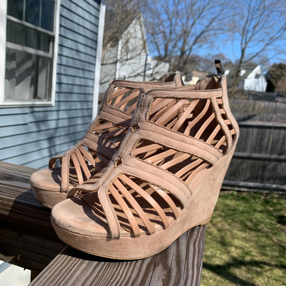 Torrid wedges